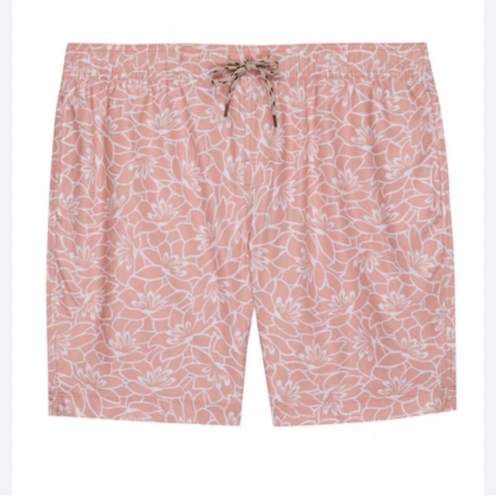 Men’s Rails Mens Kian swim shorts Serenity Rose XXL